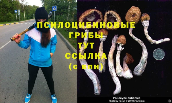 jwh Няндома