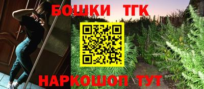 индика Беслан