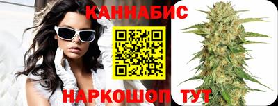 индика Беслан