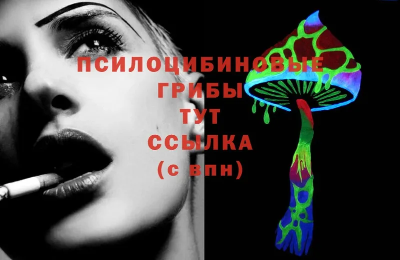 мориарти Telegram  сколько стоит  Великие Луки  Галлюциногенные грибы GOLDEN TEACHER 