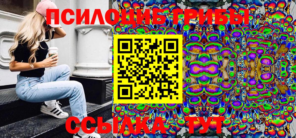 Псилоцибиновые грибы Psilocybe  Вход с VPN  Псилоцибиновые грибы MAGIC MUSHROOMS  Великие Луки 