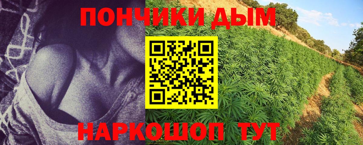 Шишки марихуана ГИДРОПОН  Канабис конопля  Бошки Шишки MAZAR  Великие Луки  Шишки марихуана семена 